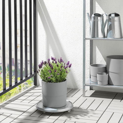 Balcón moderno con planta de lavanda, regaderas de metal y macetas en el estante.