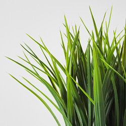 FEJKA planta artificial