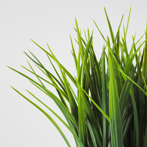 FEJKA, planta artificial. 5 de 6 abrir diálogo
