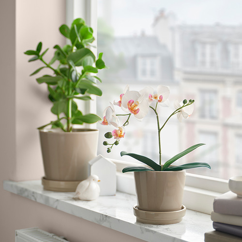 FEJKA, planta artificial. 2 de 3 abrir diálogo