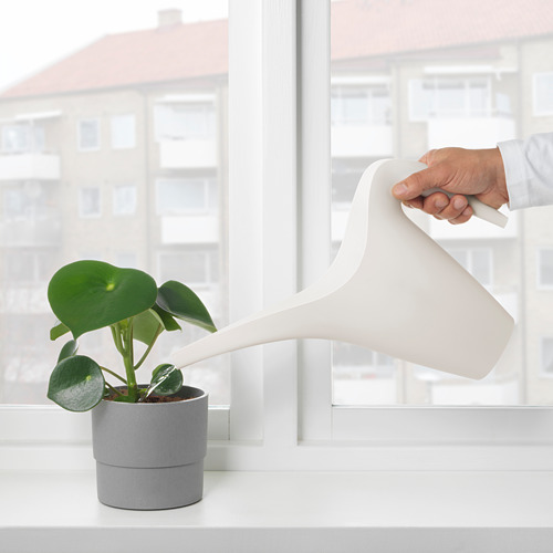 Regar a mano una planta de hoja verde con una regadera blanca de Ikea en el alféizar de una ventana.