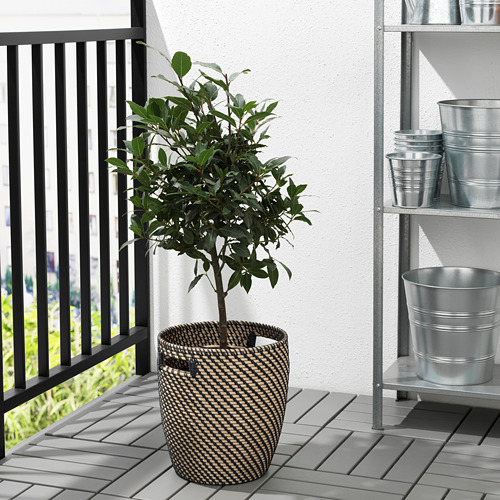 Pequeño balcón con una planta en maceta en una cesta tejida de color marrón y beige con asas. Junto a una estantería metálica que sostiene macetas metálicas.