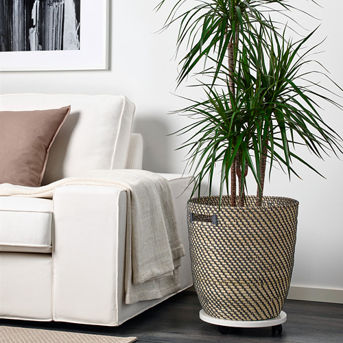 Sala de estar con sofá blanco, canasta de plantas tejida y planta verde alta.