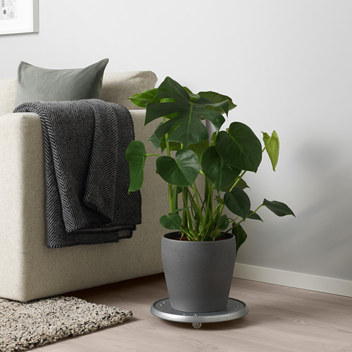 Salón moderno con planta y sofá.