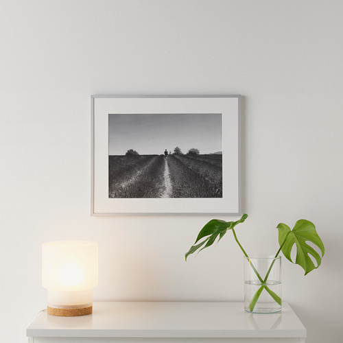 Foto de paisaje en blanco y negro en la pared, mesa con lámpara y planta frondosa