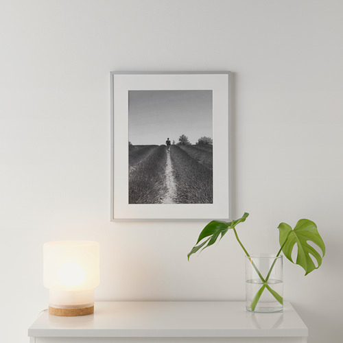 Arte en blanco y negro, lámpara, planta en estantería.