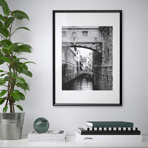 Enmarcado en blanco y negro, un puente sobre un canal cuelga de una pared, flanqueado por una planta en maceta y libros apilados.