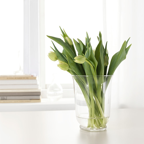 Un jarrón de vidrio transparente sostiene tulipanes verdes, sentados sobre una mesa blanca junto a una ventana.