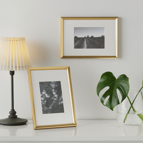 Marcos dorados con fotos en blanco y negro y una mariposa, colocados sobre una mesa con una lámpara y una planta.