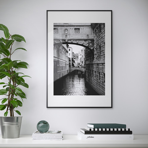 El marco muestra un puente arqueado en blanco y negro sobre el canal. Las plantas y los libros se sientan debajo, creando una decoración acogedora.