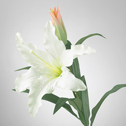 SMYCKA flor artificial