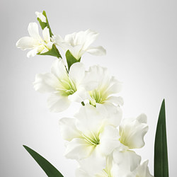 SMYCKA flor artificial