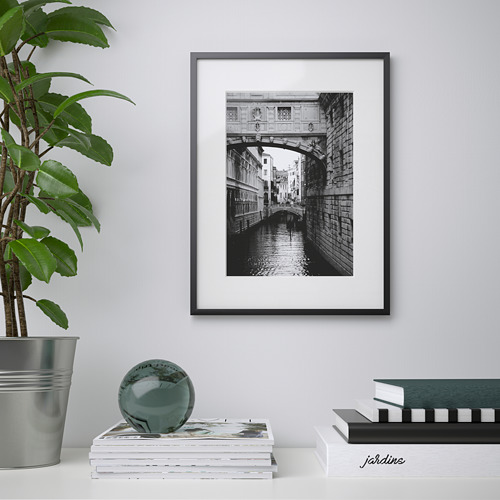 Un puente de canal enmarcado en blanco y negro en un entorno minimalista con una planta y decoración verdes.