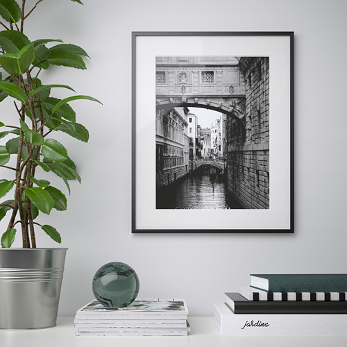 Foto del puente sobre el canal en la pared, planta y libros cercanos.