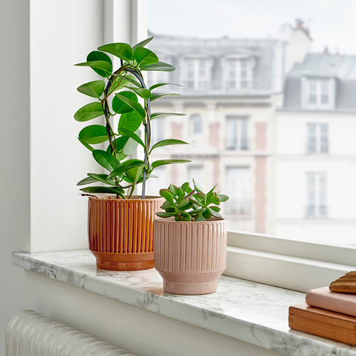 Dos macetas con plantas verdes en el alféizar de la ventana: una naranja y otra de melocotón. Pila de libros; Vista de la ciudad.