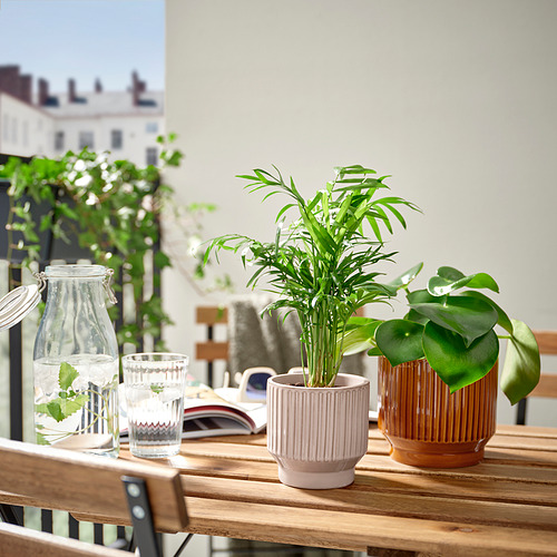 Pequeña planta en maceta sobre mesa de madera, dos vasos, tarro con hierbas, fondo urbano.