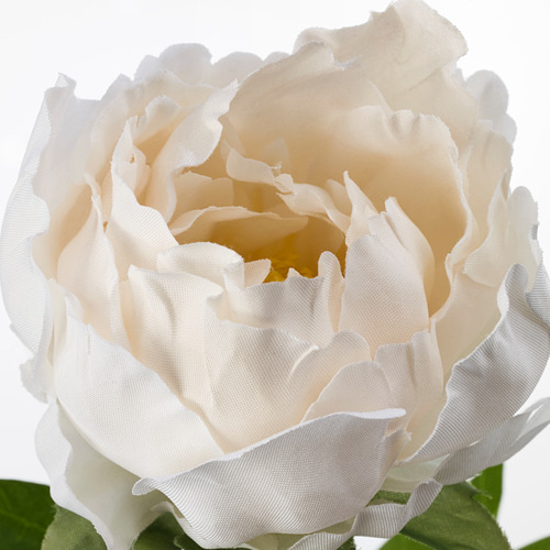 Primer plano de una flor artificial realista de color crema con pétalos detallados y hojas verdes.