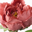 See image SMYCKA 2 of 3