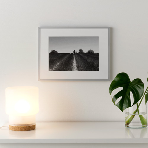Habitación minimalista con persona en blanco y negro en un camino de tierra. La decoración incluye planta verde y lámpara de mesa.