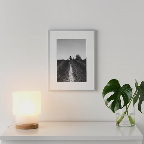 Una foto enmarcada en blanco y negro cuelga de una pared, iluminada por una lámpara tenue junto a una planta verde en un estante blanco.