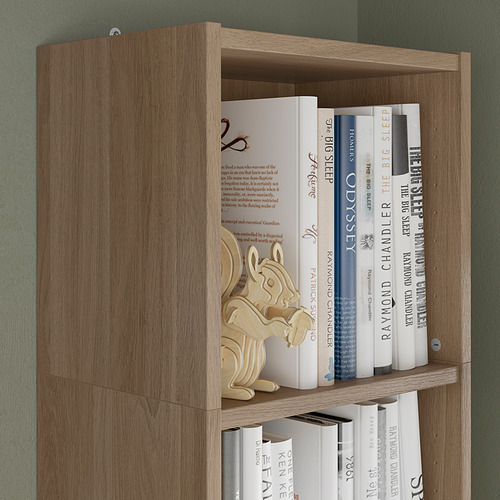 Estantería de madera con múltiples estantes que exhiben varios libros.