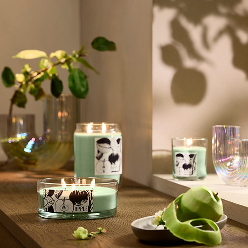LOTSFÅGEL, scented cndl in glass w lid/3 wicks. 3 of 8 open dialog
