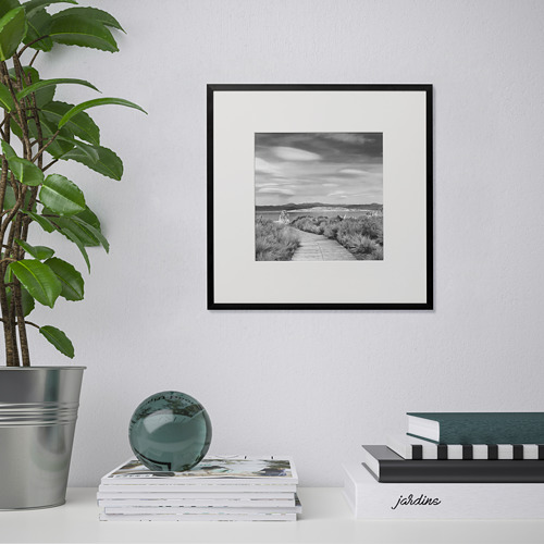 Foto enmarcada en blanco y negro cerca de una planta verde y revistas apiladas.