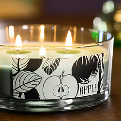 LOTSFÅGEL scented cndl in glass w lid/3 wicks