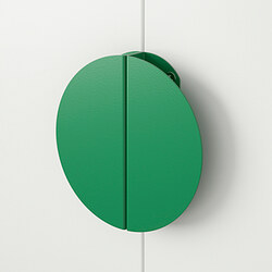 BEGRIPA handle
