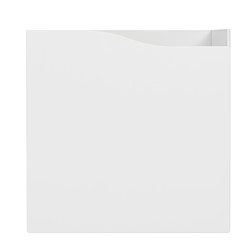 KALLAX insert with door