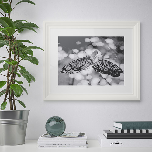 Mariposas enmarcadas en blanco y negro colgadas en una pared con una pila de libros y una planta en maceta al lado.