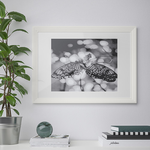 Arte de mariposas en blanco y negro, revistas, plantas.