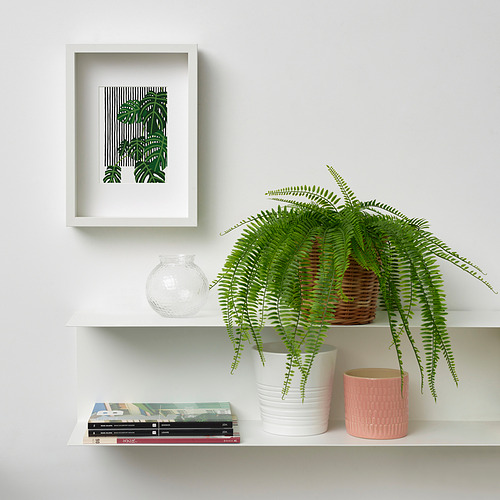 FEJKA, planta artificial. 2 de 4 abrir diálogo