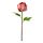 Current variation: Peony/dark pink