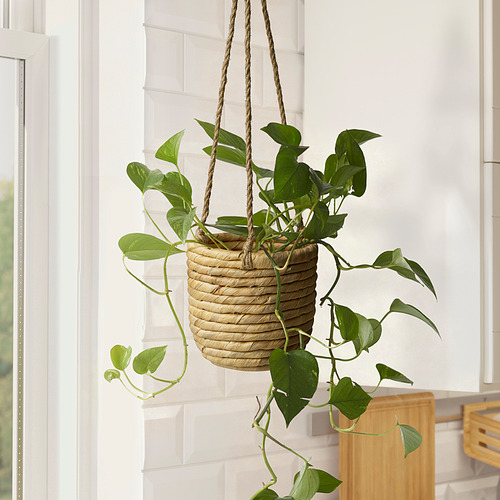 SANDÖDLA, hanging planter. 2 of 5 open dialog