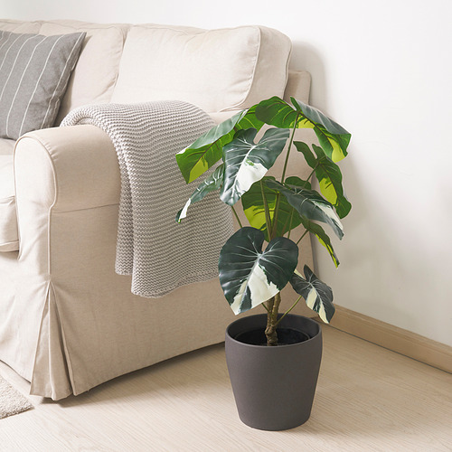 Planta artificial cerca de sofá beige con manta.