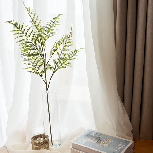 Un jarrón transparente sostiene un exuberante helecho junto a una ventana, rodeado de cortinas blancas transparentes y una revista, que aporta vegetación interior.