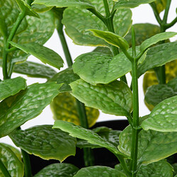 FEJKA planta artificial