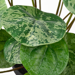 FEJKA planta artificial