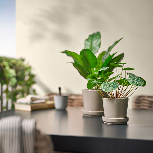 Ambientación interior con plantas artificiales FEJKA en macetas blancas sobre una mesa. Varias hojas verdes, más pequeñas que los libros y tazas apilados cercanos.