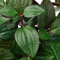 FEJKA artificial potted plant