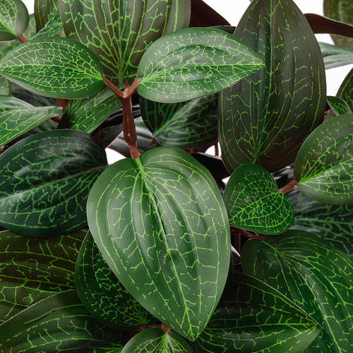 Hojas de color verde vibrante con vetas vívidas en una planta artificial realista.