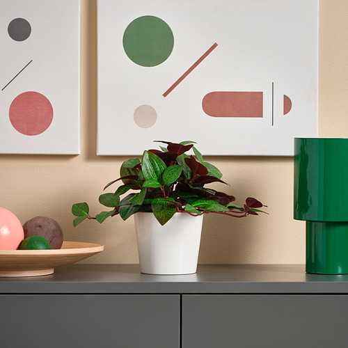 Decoración moderna: planta blanca, lámpara verde, arte, frutero en pared beige.