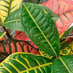 FEJKA planta artificial