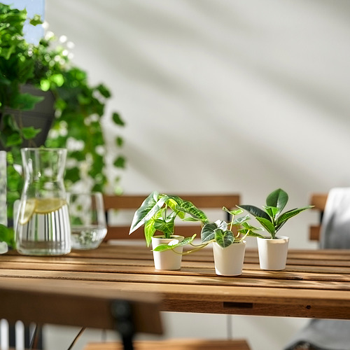 FEJKA, planta artificial maceta, juego de 3. 3 de 4 abrir diálogo