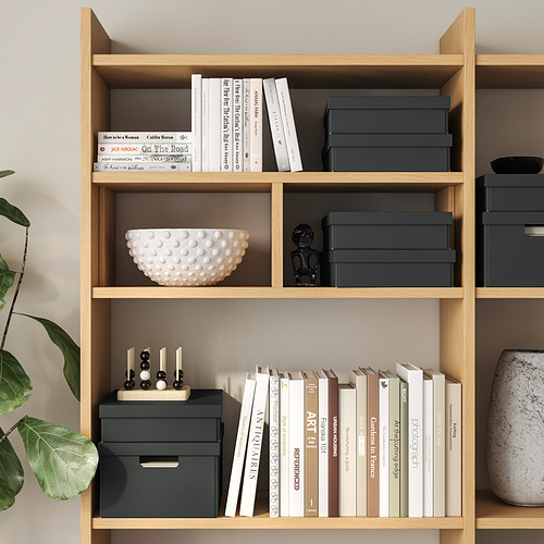 Estantería con libros, decoración y almacenamiento. Figura negra y cuenco blanco.