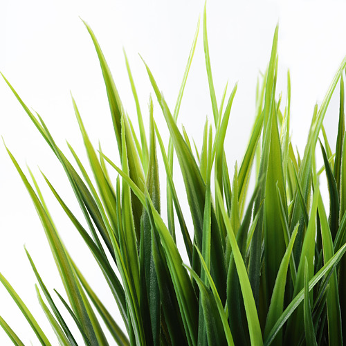 FEJKA, planta artificial. 6 de 6 abrir diálogo