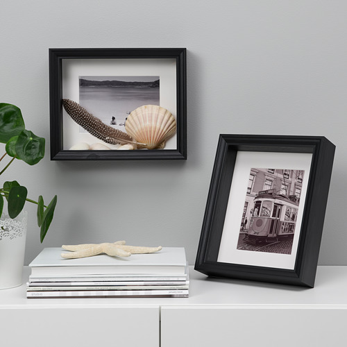 Dos obras de arte enmarcadas: conchas marinas y plumas, tranvía. Pila de libros, estrellas de mar, plantas sobre superficie blanca contra pared gris.