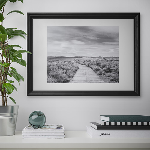 Marco negro en la pared con camino en blanco y negro hacia el horizonte, escritorio con revistas, planta, esfera de vidrio.
