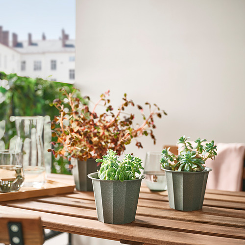 Las pequeñas macetas BUSKVERK sostienen plantas verdes sobre una mesa de madera, cerca de la cristalería.